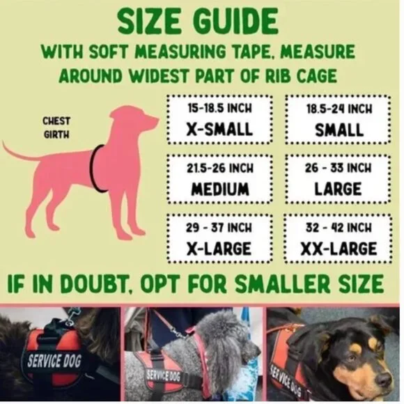 Service Dog Puppy Vest ID Tag 50 ADA Info Card Harness Leash Collar EXTRA LARGE